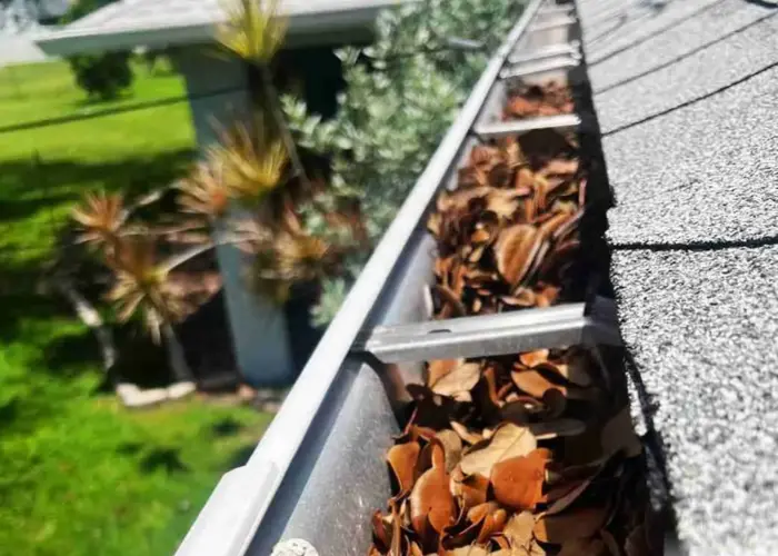 Gutter Cleaning Norwood home page